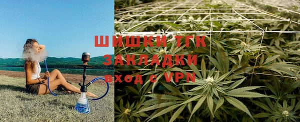 мяу мяу мука Няндома