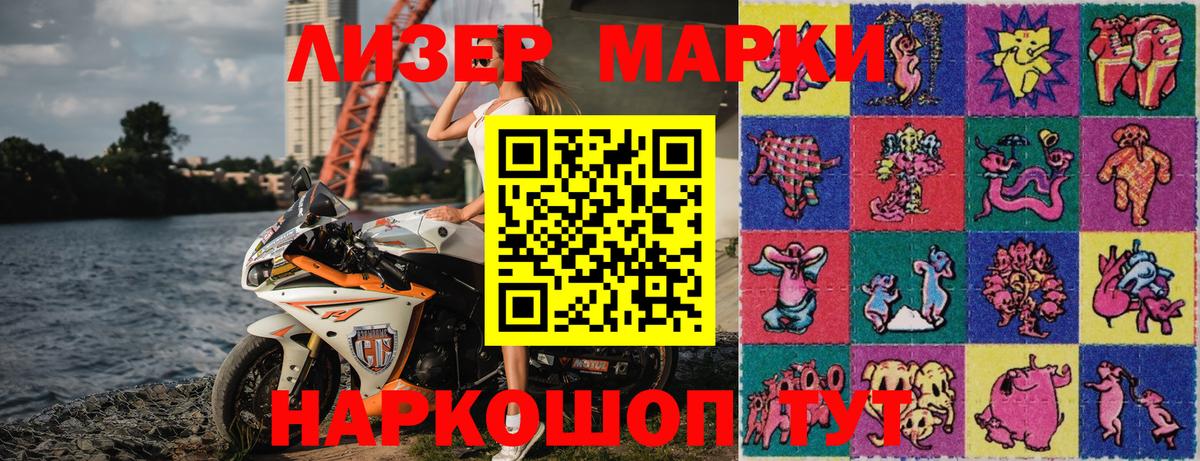 Псилоцибиновые грибы Владикавказ