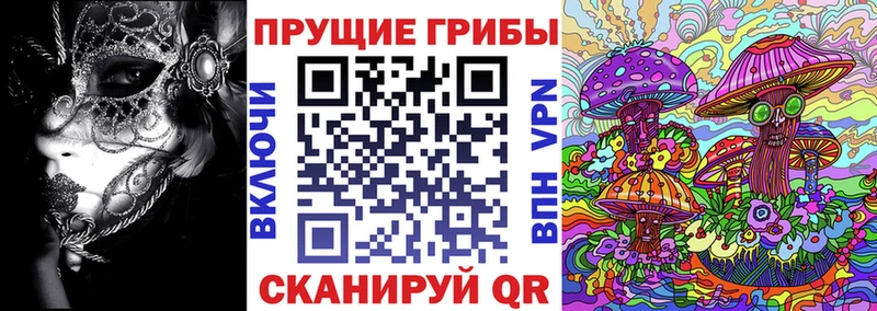 Галлюциногенные грибы MAGIC MUSHROOMS  Владикавказ 