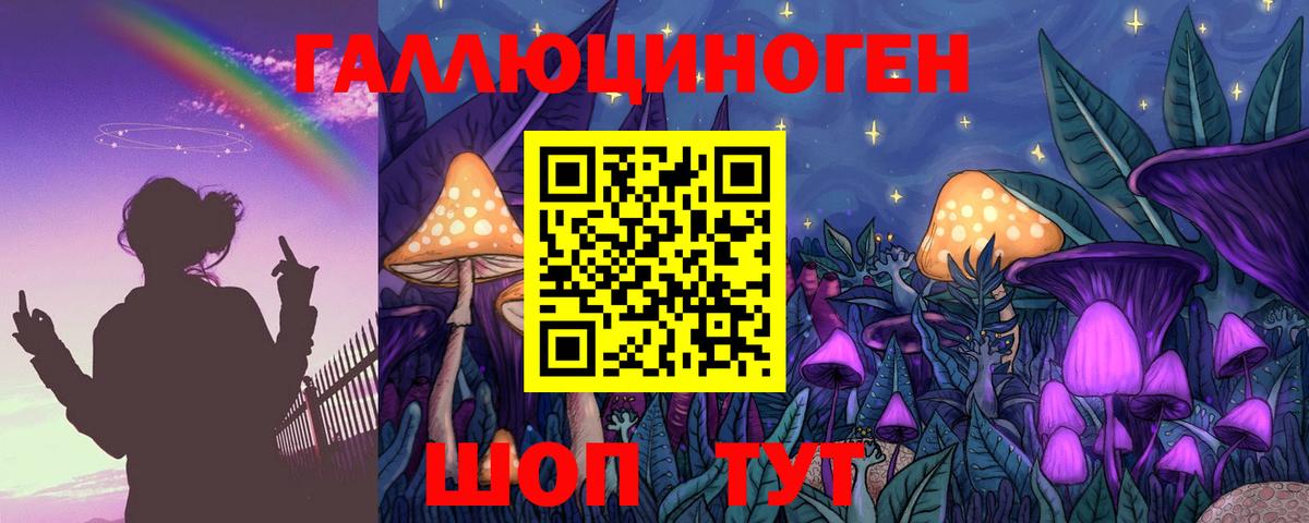 Галлюциногенные грибы Psilocybe  Псилоцибиновые грибы прущие грибы  Владикавказ 