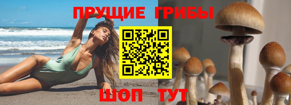 Галлюциногенные грибы Psilocybine cubensis  Вход с VPN  Владикавказ 